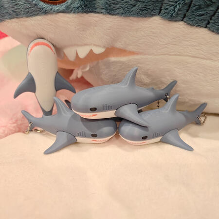 Keychain $50 + $5 Per Print